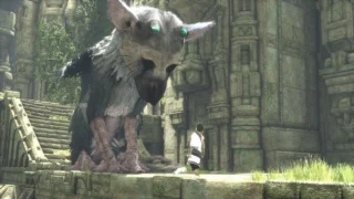 Купить The Last Guardian PS4 | Пупа и Лупа