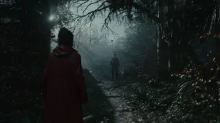 Купить Alan Wake 2 Deluxe Edition PS5 | Пупа и Лупа