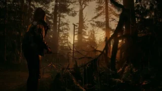 Купить Alan Wake 2 Deluxe Edition PS5 | Пупа и Лупа