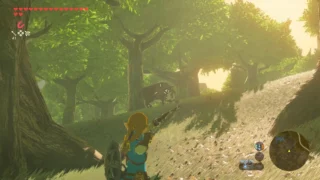 Купить The Legend of Zelda: Breathe of the Wild Nintendo Switch 2 | Пупа и Лупа