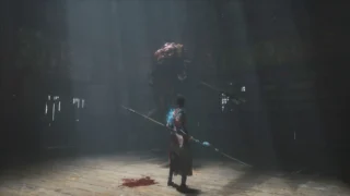 Купить Wuchang: Fallen Feathers PS5 | Пупа и Лупа