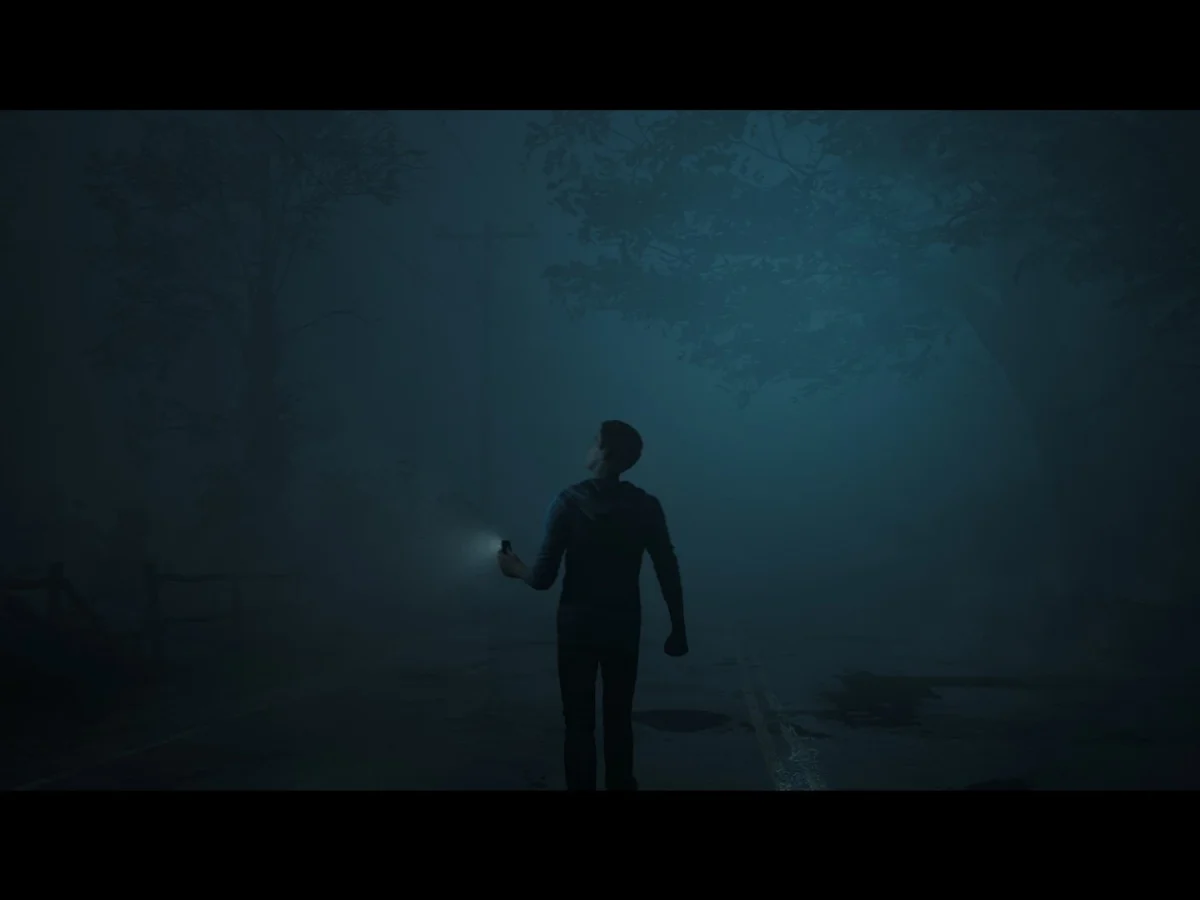 Купить The Dark Pictures: Little Hope PS4 | Пупа и Лупа