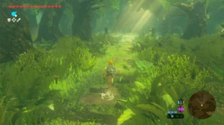 Купить The Legend of Zelda: Breathe of the Wild Nintendo Switch 2 | Пупа и Лупа