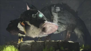 Купить The Last Guardian PS4 | Пупа и Лупа