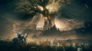Купить Elden Ring Shadow of The Erdtree PS5 | Пупа и Лупа